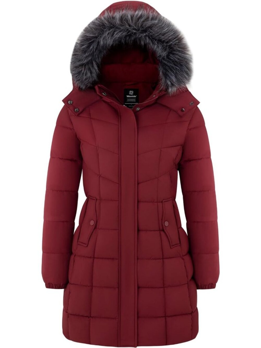 Cozy Hooded Puffer Winter Coat for Women, Warm & Stylish, Regular & Plus Sizes